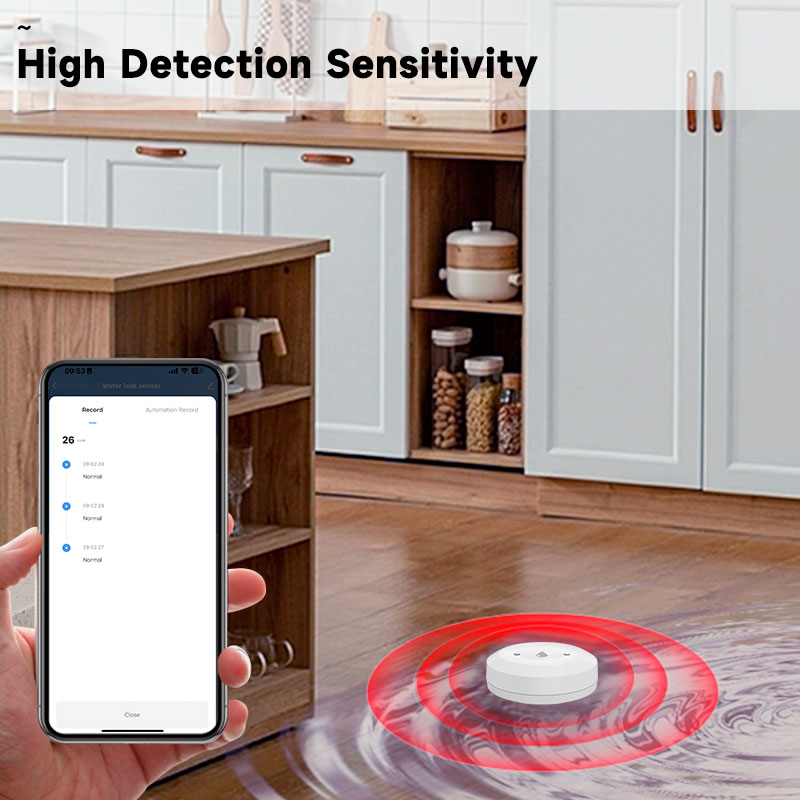 Tuya Zigbee2mqtt Water Immersi – Water Alarm Sensor recenzja i cena