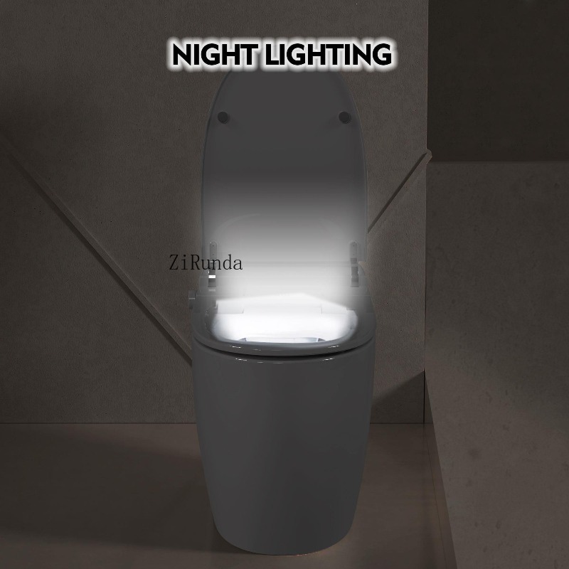 Heated Seat Smart Toilet, One  – Power Outage Light recenzja i cena